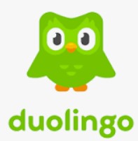 Daily Development - Duolingo icon